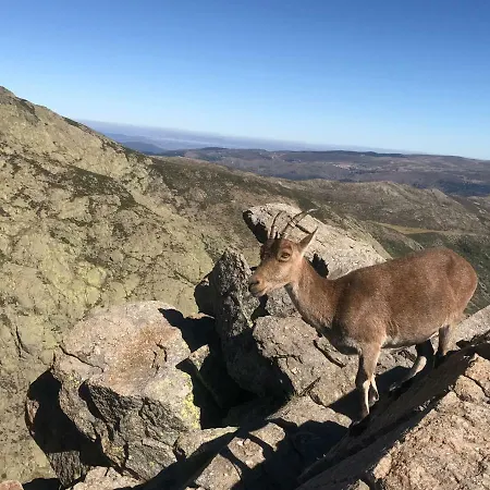 El Llano - El Hornillo, Tu Pueblo En La Sierra De Gredos.