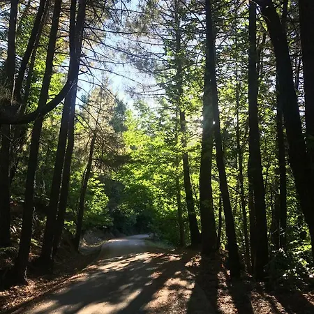 El Llano - El Hornillo, Tu Pueblo En La Sierra De Gredos.