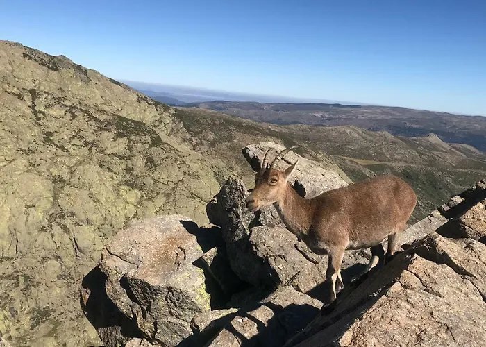 El Llano - El Hornillo, Tu Pueblo En La Sierra De Gredos.
