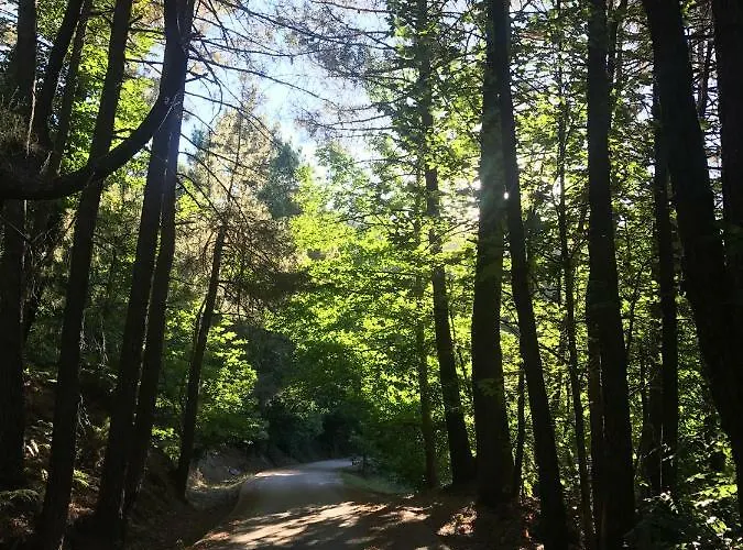 El Llano - El Hornillo, Tu Pueblo En La Sierra De Gredos.