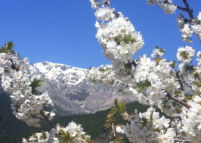 El Llano - El Hornillo, Tu Pueblo En La Sierra De Gredos. El Hornillo